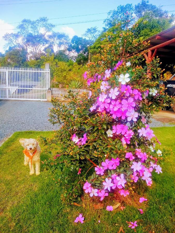 Le Petit Cherie Blumenau Kültér fotó