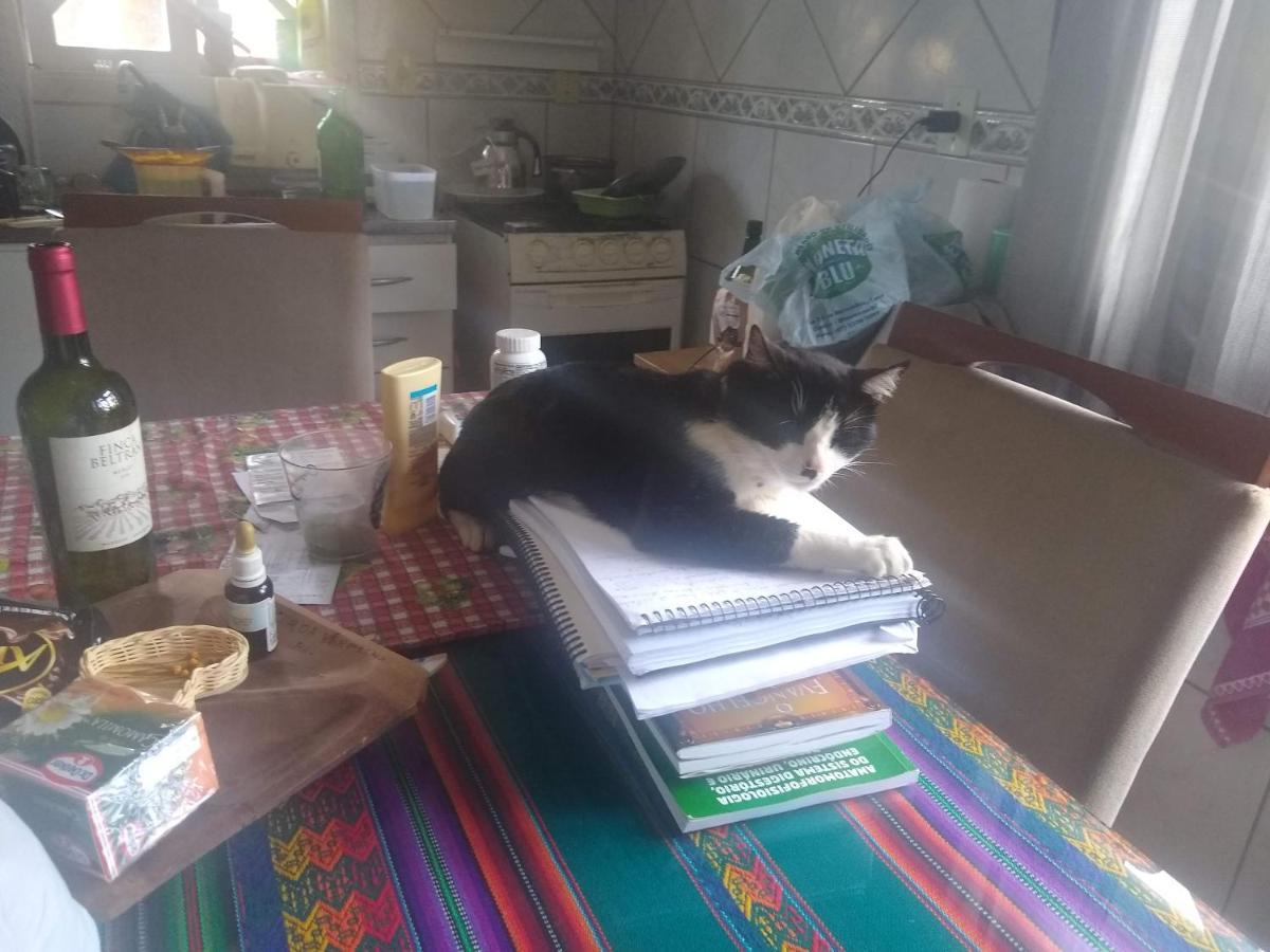 Le Petit Cherie Blumenau Kültér fotó